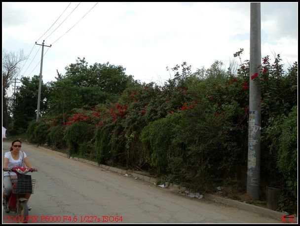 DSCN1224.jpg