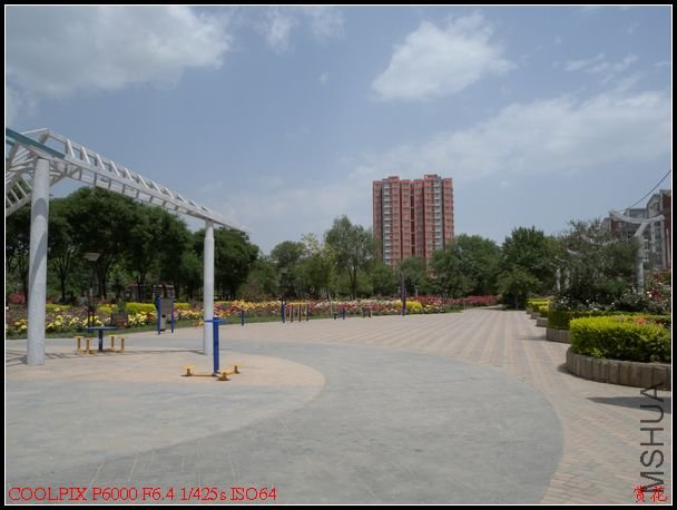 DSCN1221.jpg