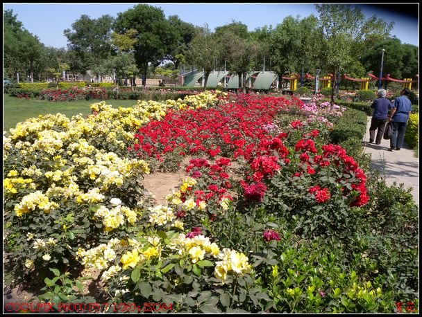 DSCN1082.jpg