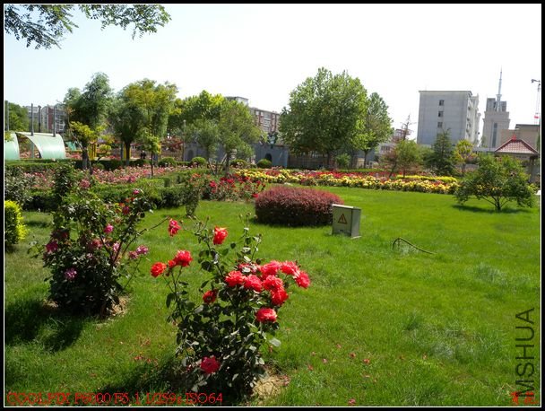 DSCN1078.jpg