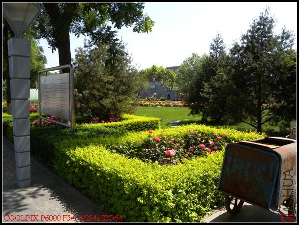 DSCN1076.jpg