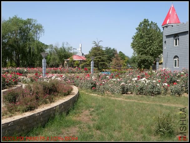 DSCN1088.jpg