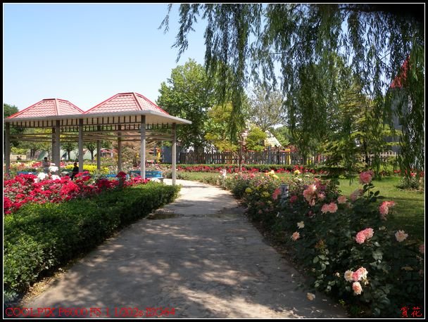 DSCN1085.jpg