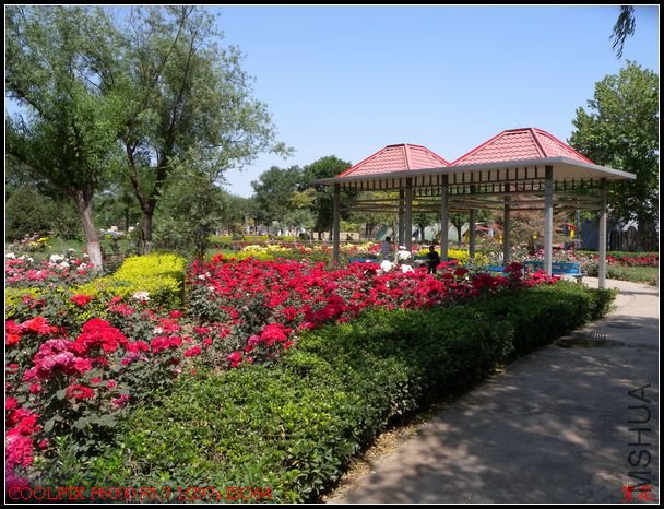 DSCN1084.jpg