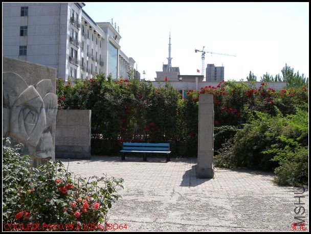 DSCN1086.jpg