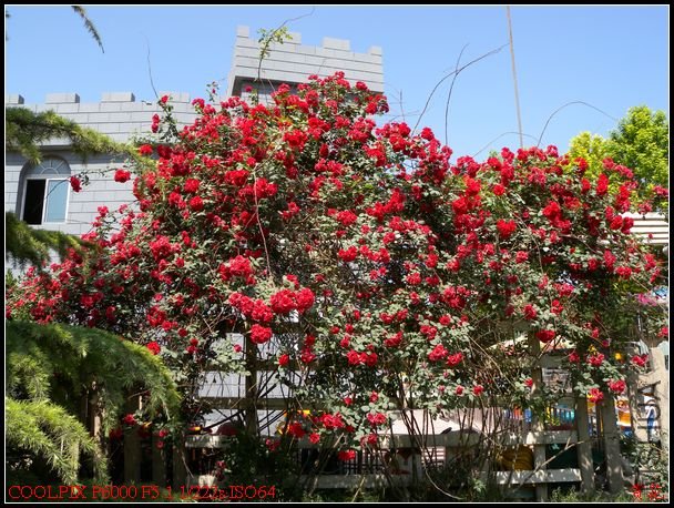 DSCN1090.jpg