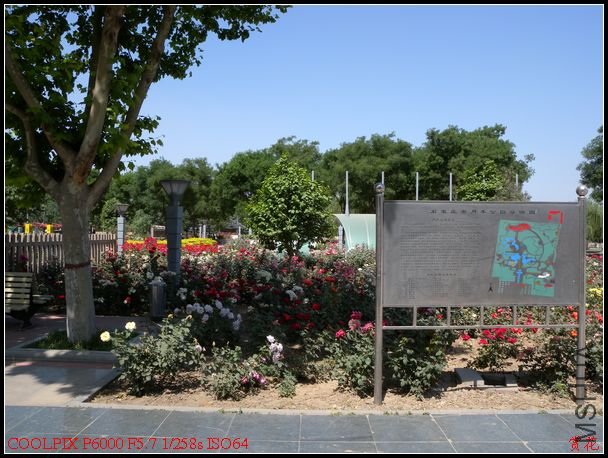 DSCN1094.jpg