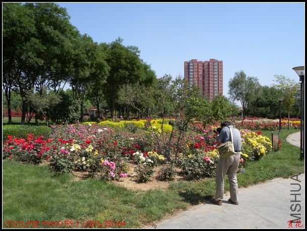 DSCN1100.jpg
