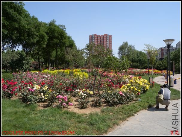 DSCN1101.jpg