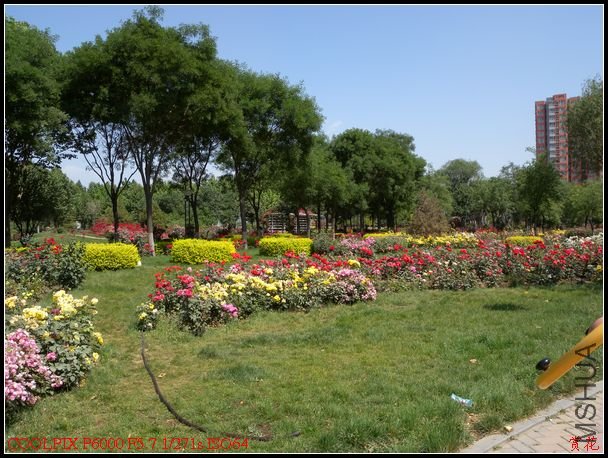 DSCN1102.jpg