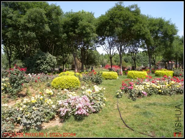 DSCN1103.jpg