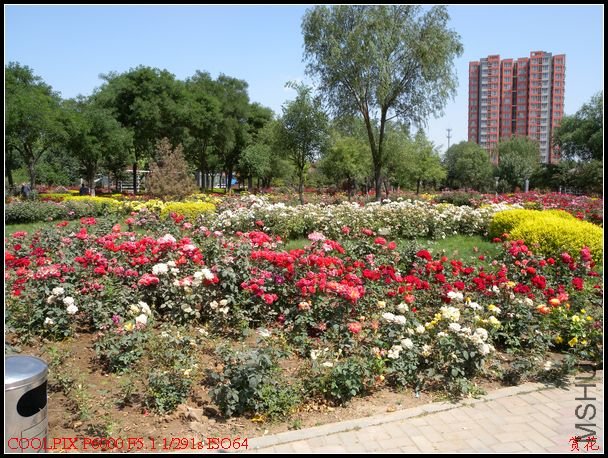 DSCN1104.jpg