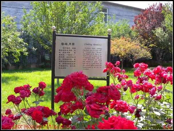 DSCN1109.jpg