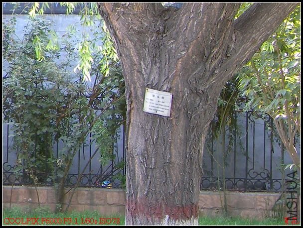 DSCN1108.jpg