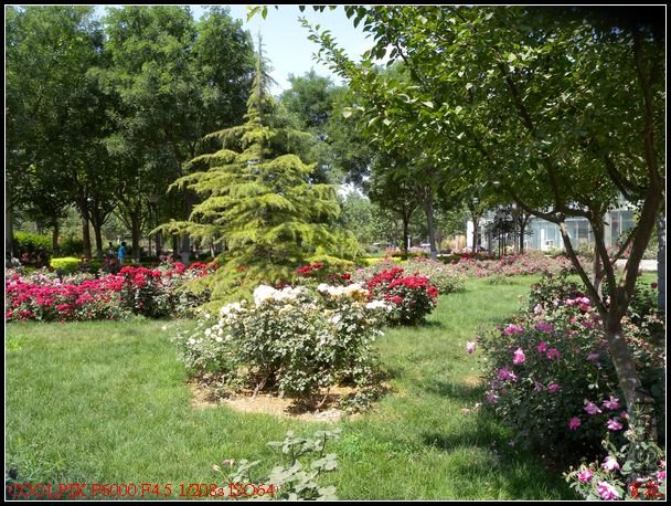DSCN1116.jpg