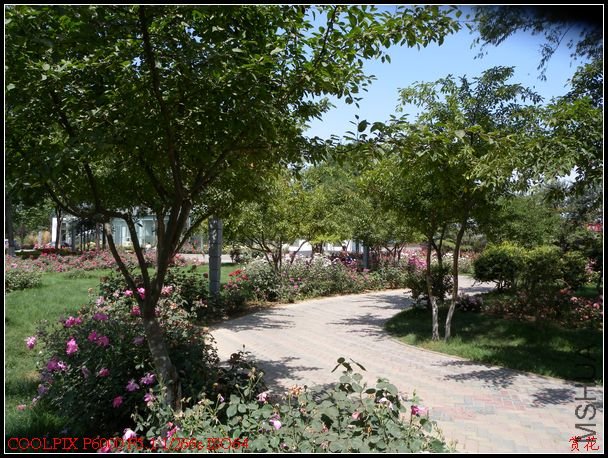 DSCN1117.jpg