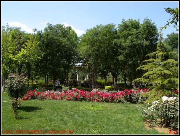 DSCN1120.jpg