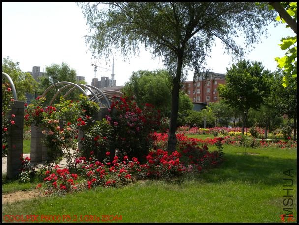 DSCN1122.jpg