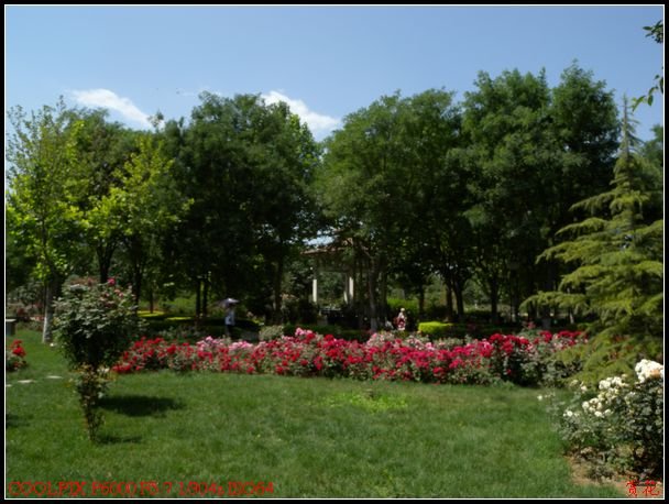 DSCN1119.jpg