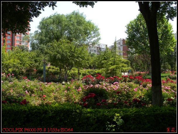 DSCN1123.jpg