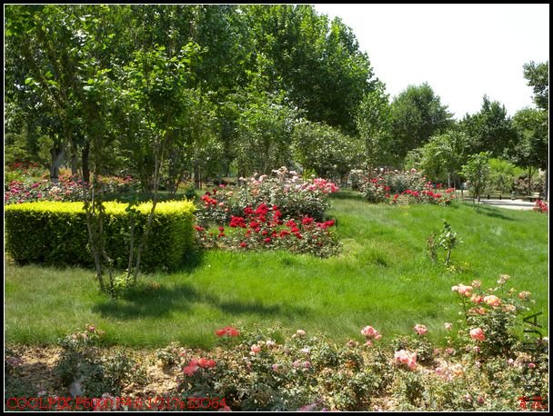 DSCN1127.jpg