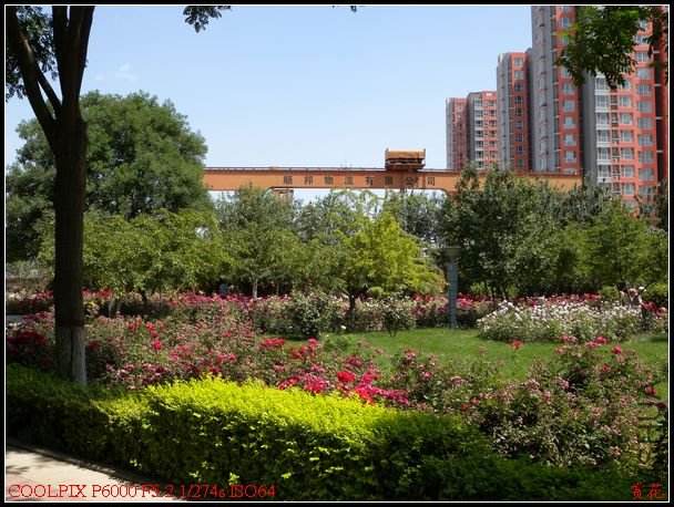DSCN1126.jpg