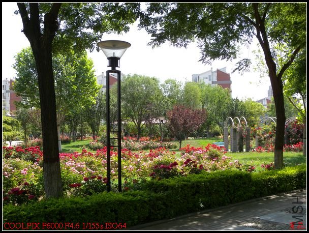 DSCN1125.jpg
