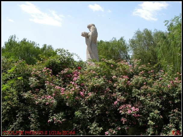DSCN1133.jpg