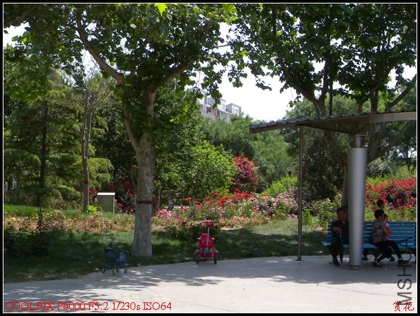 DSCN1135.jpg