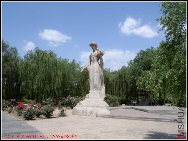 DSCN1138.jpg