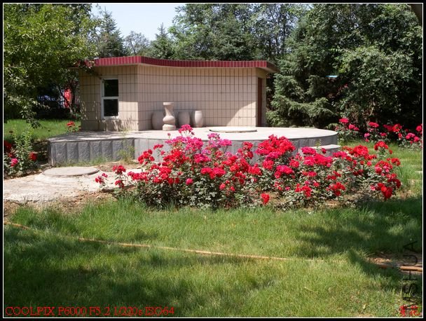 DSCN1144.jpg