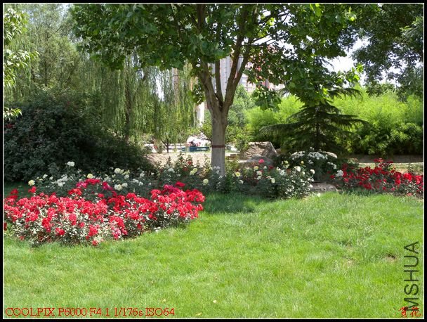 DSCN1149.jpg