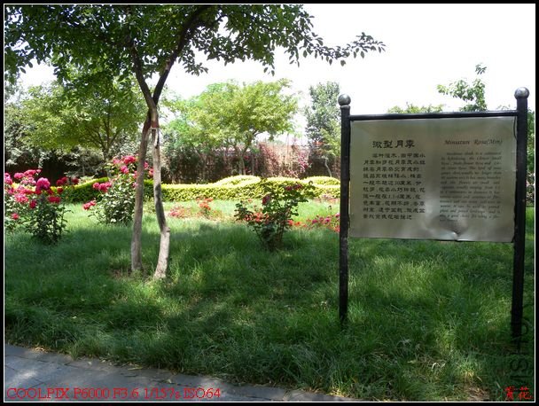 DSCN1143.jpg