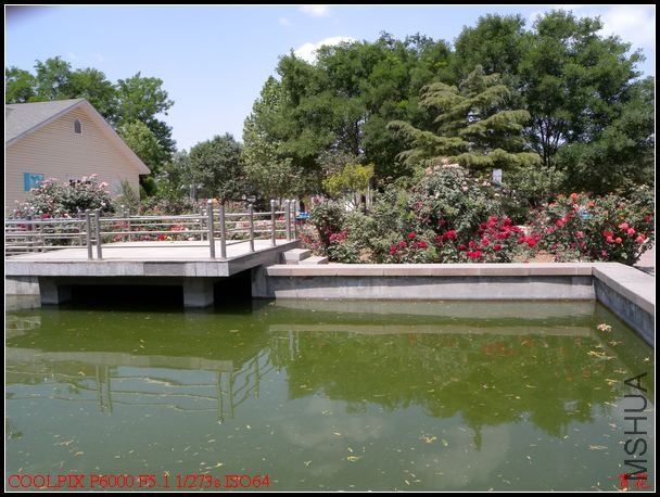DSCN1153.jpg