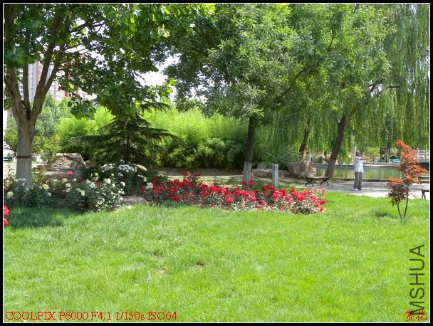 DSCN1150.jpg