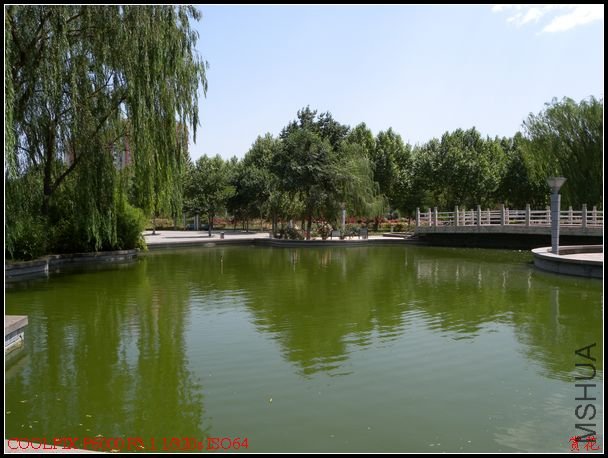 DSCN1152.jpg