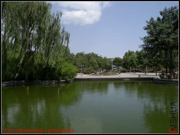 DSCN1163.jpg