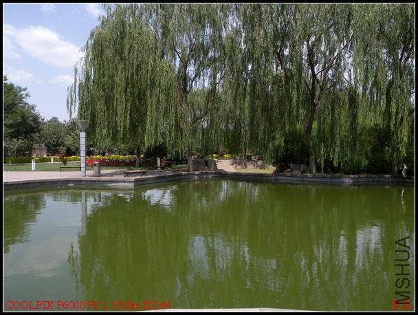 DSCN1160.jpg