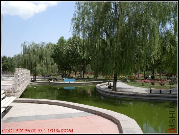 DSCN1171.jpg