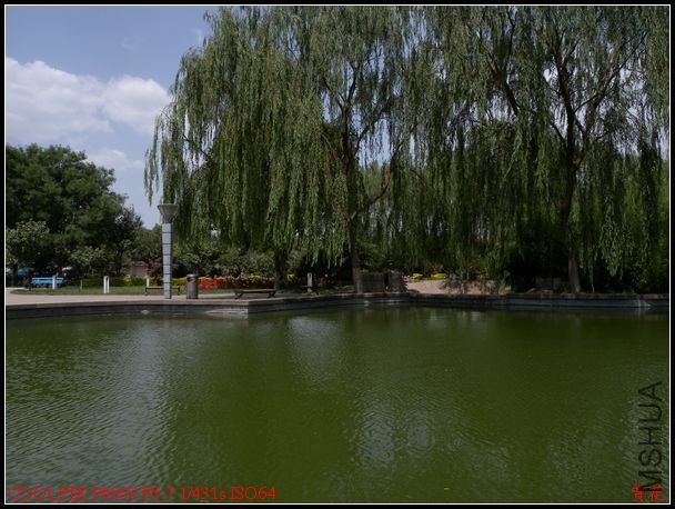DSCN1164.jpg