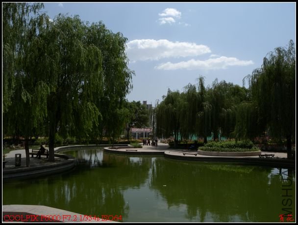 DSCN1168.jpg