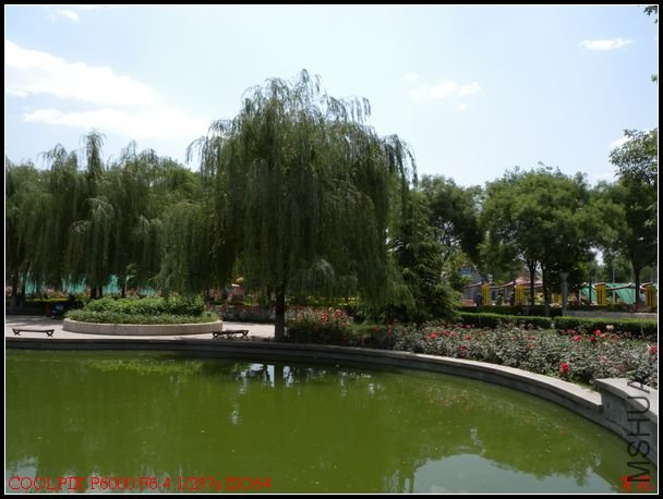 DSCN1172.jpg