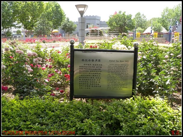 DSCN1175.jpg