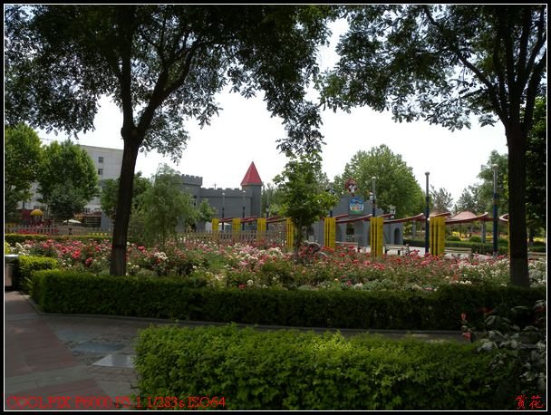 DSCN1174.jpg