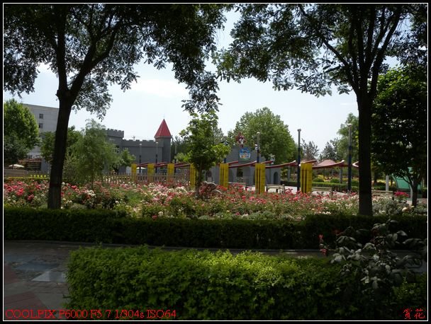DSCN1173.jpg