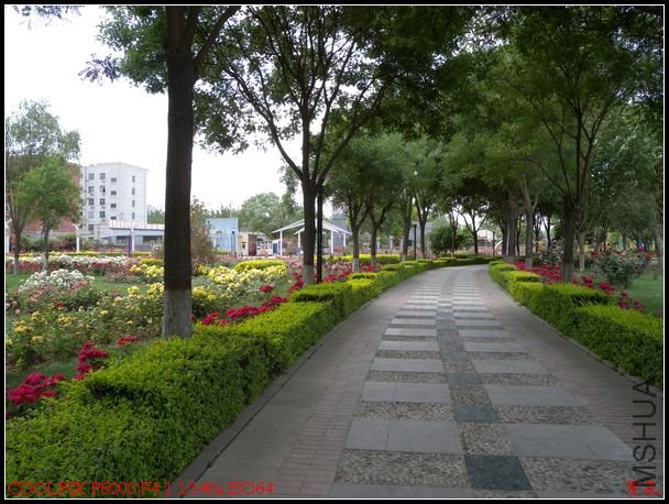 DSCN1198.jpg
