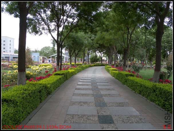 DSCN1197.jpg
