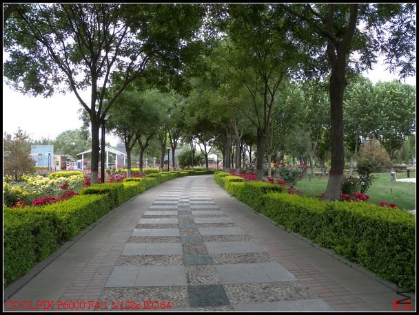 DSCN1199.jpg