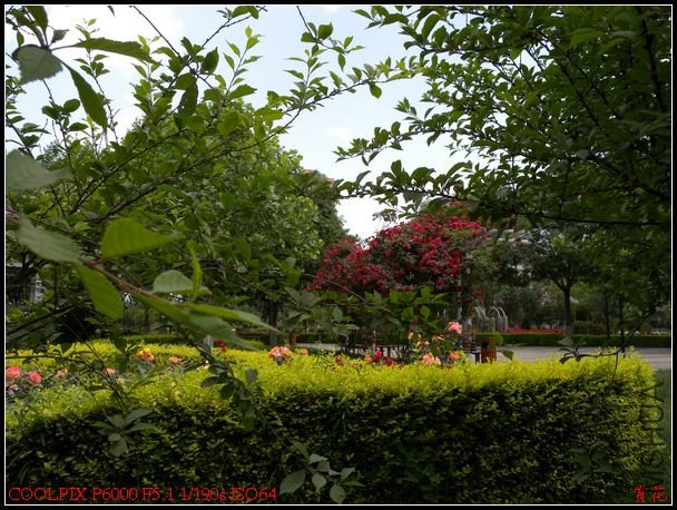 DSCN1204.jpg