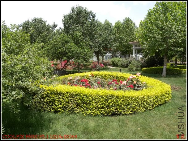 DSCN1202.jpg
